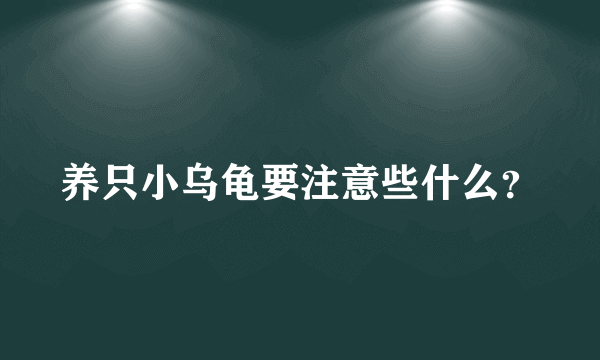 养只小乌龟要注意些什么？