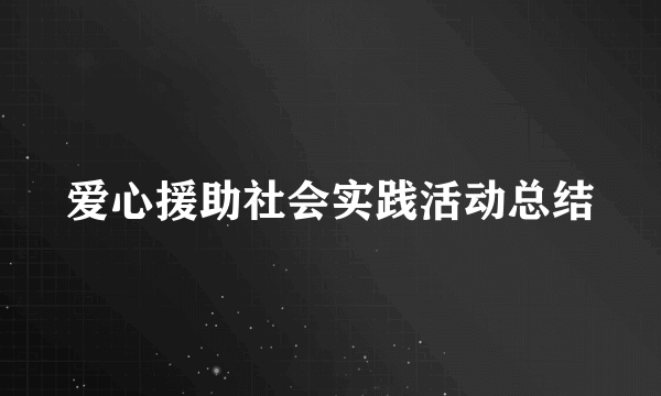 爱心援助社会实践活动总结