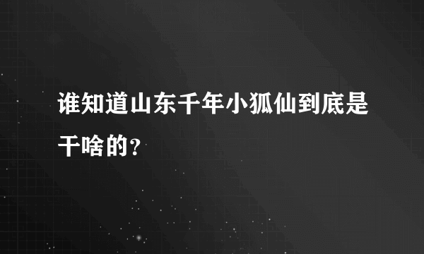 谁知道山东千年小狐仙到底是干啥的？