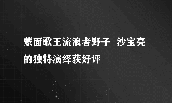 蒙面歌王流浪者野子  沙宝亮的独特演绎获好评