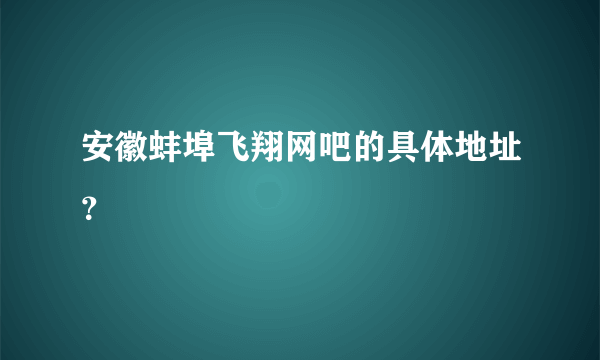 安徽蚌埠飞翔网吧的具体地址？