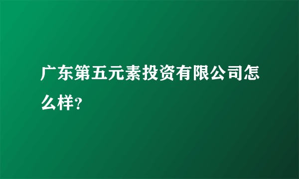 广东第五元素投资有限公司怎么样？