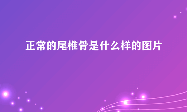 正常的尾椎骨是什么样的图片