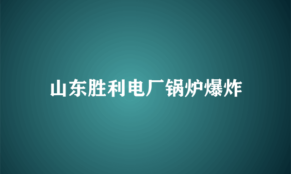 山东胜利电厂锅炉爆炸