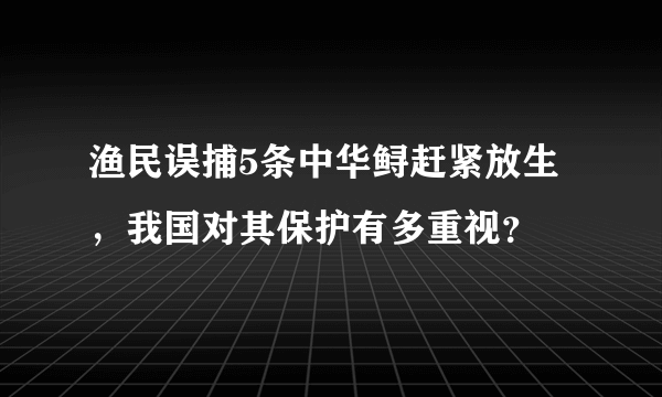 渔民误捕5条中华鲟赶紧放生，我国对其保护有多重视？