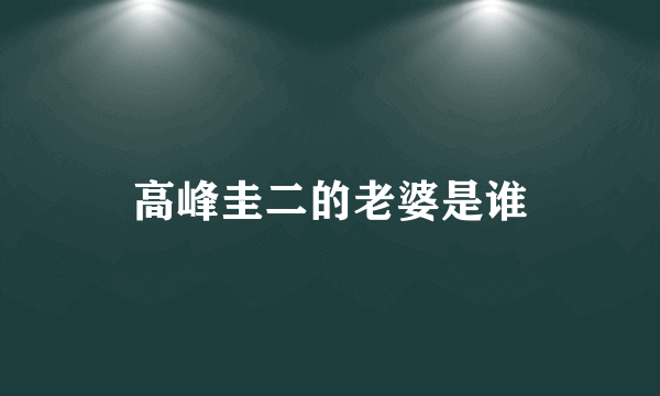 高峰圭二的老婆是谁