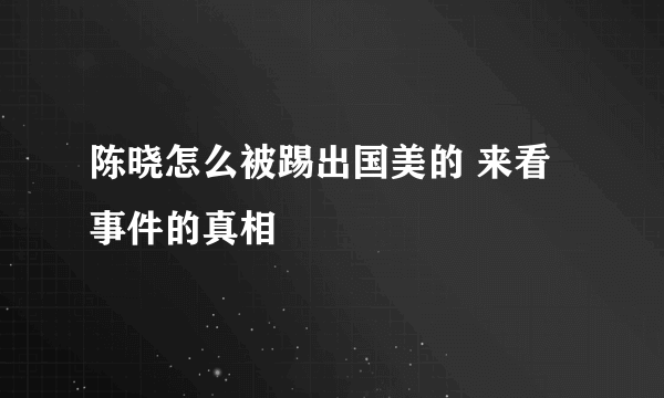 陈晓怎么被踢出国美的 来看事件的真相