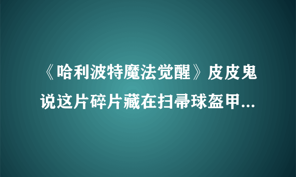 《哈利波特魔法觉醒》皮皮鬼说这片碎片藏在扫帚球盔甲和长袍之中拼图位置一览