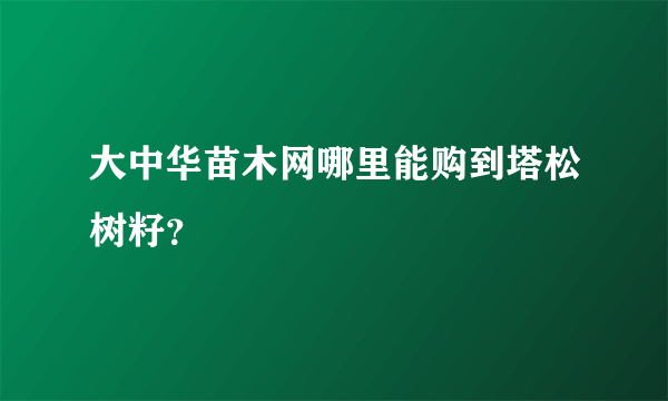 大中华苗木网哪里能购到塔松树籽？