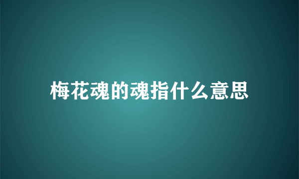 梅花魂的魂指什么意思