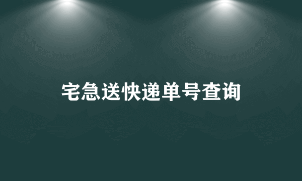 宅急送快递单号查询