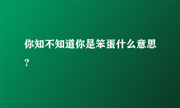 你知不知道你是笨蛋什么意思？