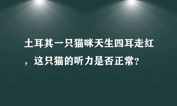 土耳其一只猫咪天生四耳走红，这只猫的听力是否正常？