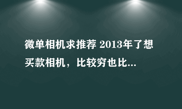 微单相机求推荐 2013年了想买款相机，比较穷也比较菜鸟，单反就算了。看上了所谓的微单，帮忙推荐一下吧