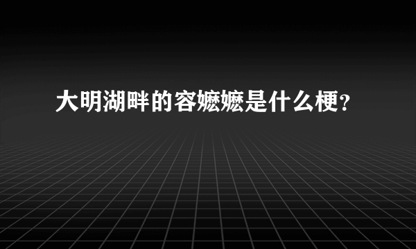 大明湖畔的容嬷嬷是什么梗？