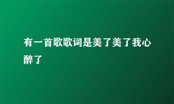 有一首歌歌词是美了美了我心醉了