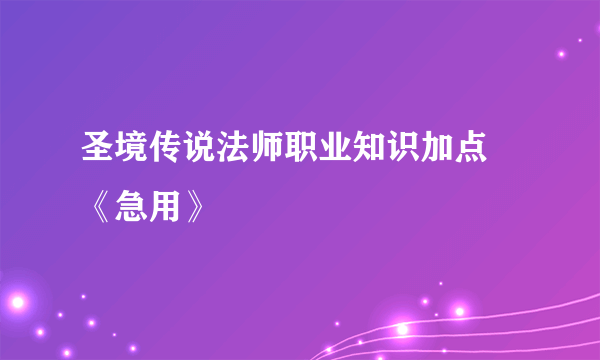 圣境传说法师职业知识加点 《急用》