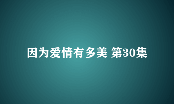 因为爱情有多美 第30集