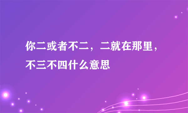 你二或者不二，二就在那里，不三不四什么意思