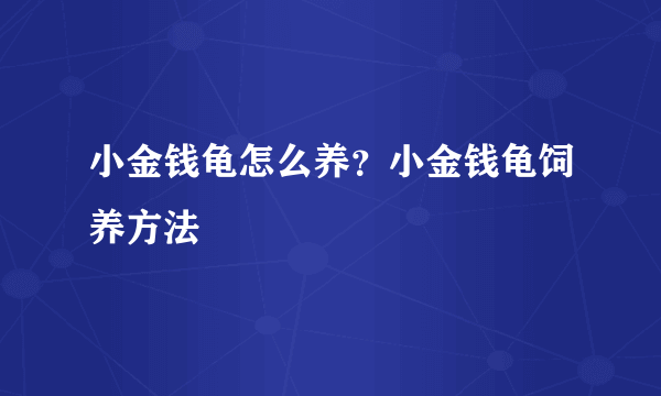 小金钱龟怎么养？小金钱龟饲养方法