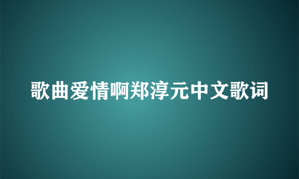 歌曲爱情啊郑淳元中文歌词