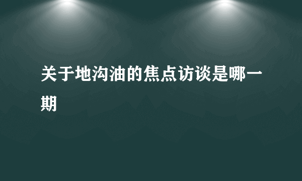 关于地沟油的焦点访谈是哪一期