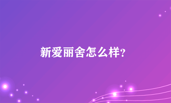 新爱丽舍怎么样？