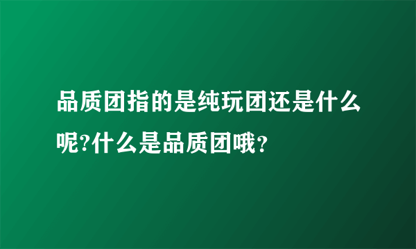 品质团指的是纯玩团还是什么呢?什么是品质团哦？