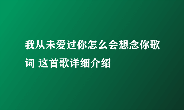 我从未爱过你怎么会想念你歌词 这首歌详细介绍