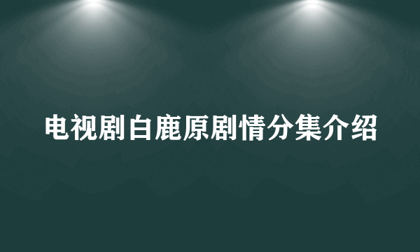 电视剧白鹿原剧情分集介绍