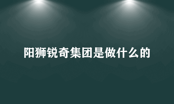 阳狮锐奇集团是做什么的