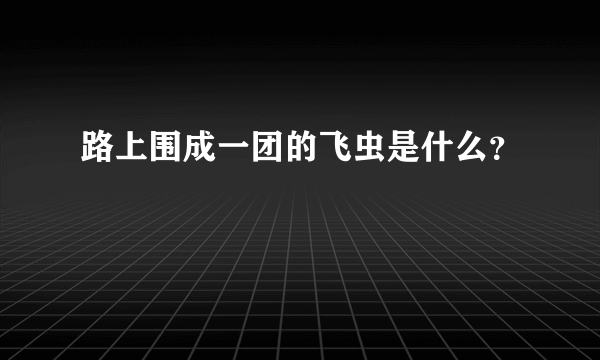 路上围成一团的飞虫是什么？