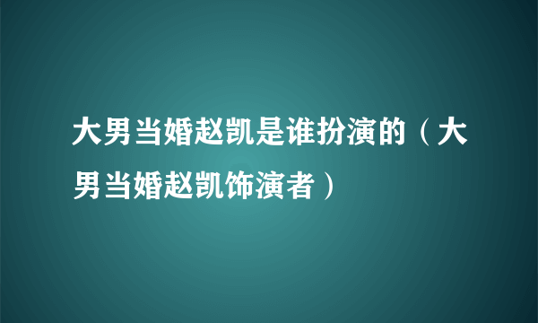 大男当婚赵凯是谁扮演的（大男当婚赵凯饰演者）