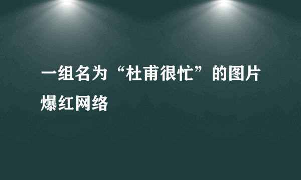 一组名为“杜甫很忙”的图片爆红网络