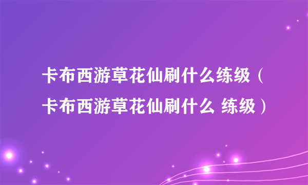 卡布西游草花仙刷什么练级（卡布西游草花仙刷什么 练级）