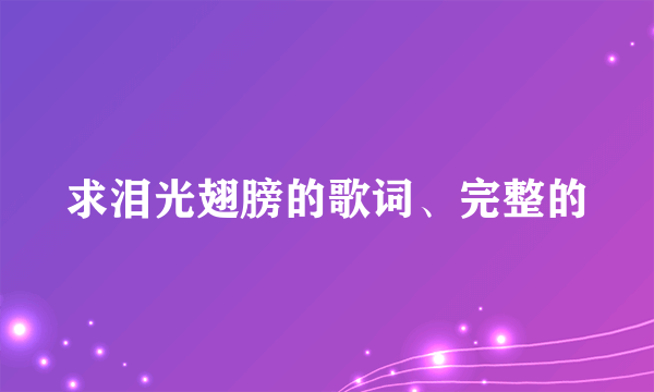 求泪光翅膀的歌词、完整的