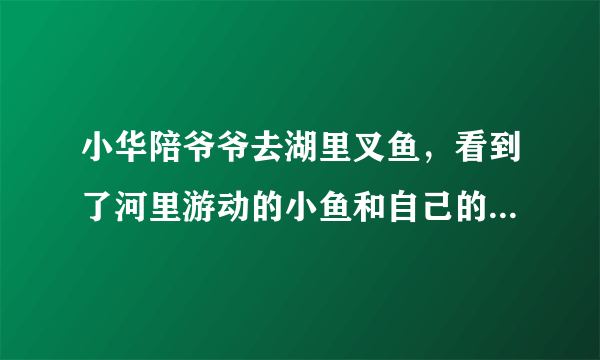 小华陪爷爷去湖里叉鱼，看到了河里游动的小鱼和自己的倒影，小华看到的“鱼”比实际位置______了，这是光的______现象造成的。若小华将电筒光对着看到的“鱼”射入，______（能/不能）照亮鱼。