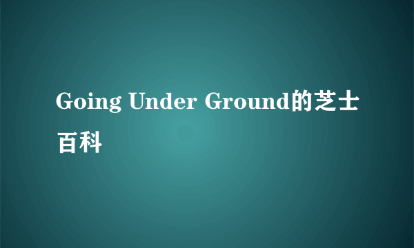 Going Under Ground的芝士百科