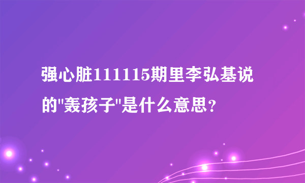 强心脏111115期里李弘基说的