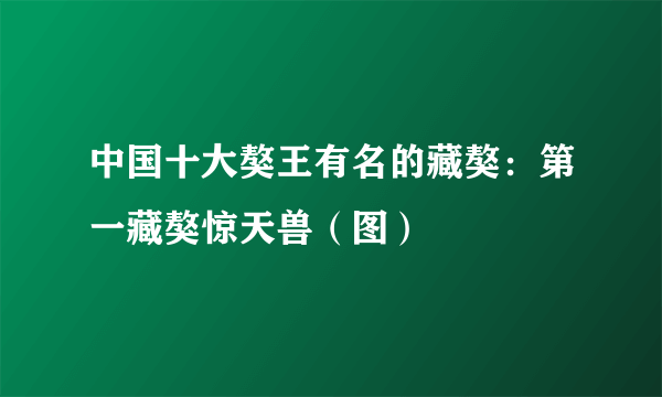 中国十大獒王有名的藏獒：第一藏獒惊天兽（图）