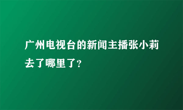 广州电视台的新闻主播张小莉去了哪里了？