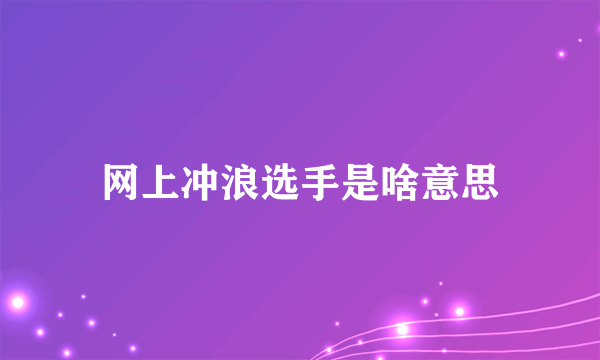 网上冲浪选手是啥意思