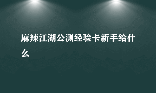 麻辣江湖公测经验卡新手给什么