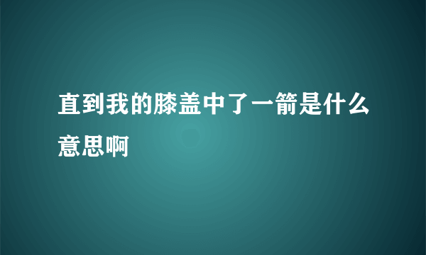 直到我的膝盖中了一箭是什么意思啊