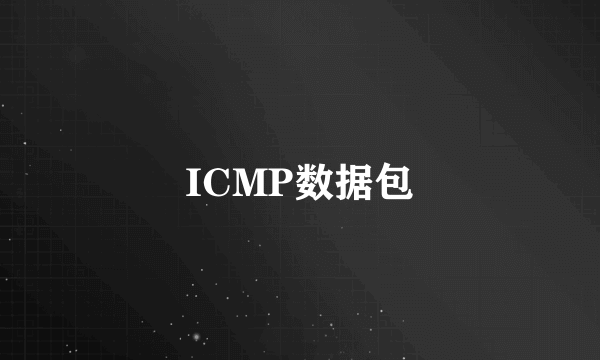 ICMP数据包