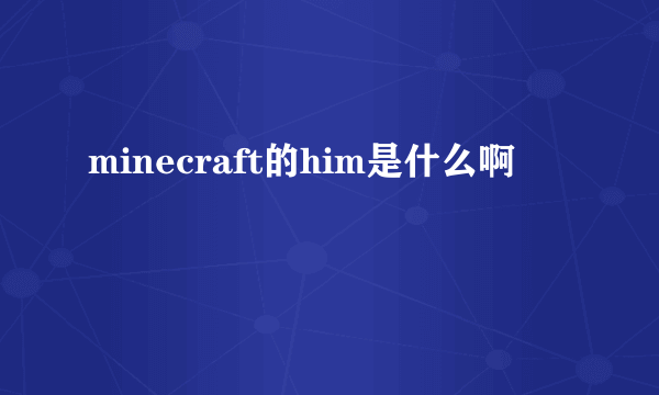 minecraft的him是什么啊