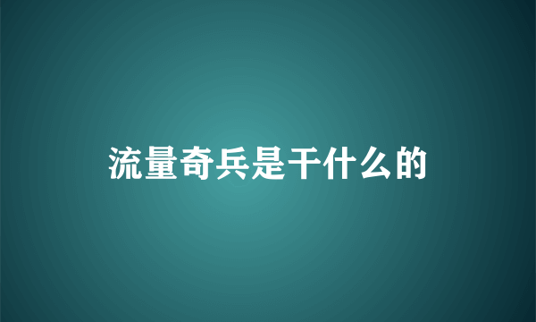 流量奇兵是干什么的