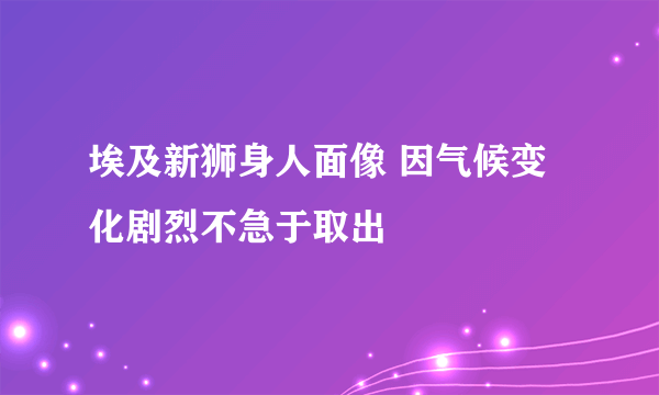 埃及新狮身人面像 因气候变化剧烈不急于取出