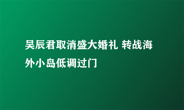 吴辰君取消盛大婚礼 转战海外小岛低调过门