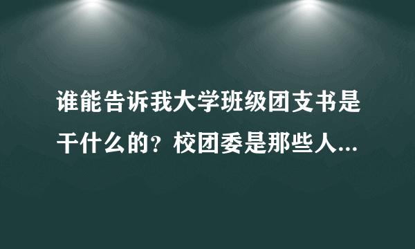 谁能告诉我大学班级团支书是干什么的？校团委是那些人构成的？